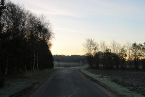 novmeber-dreary1 (1)